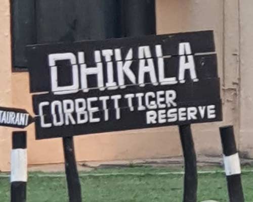 01 Night Corbett Adventure with Jeep Safari