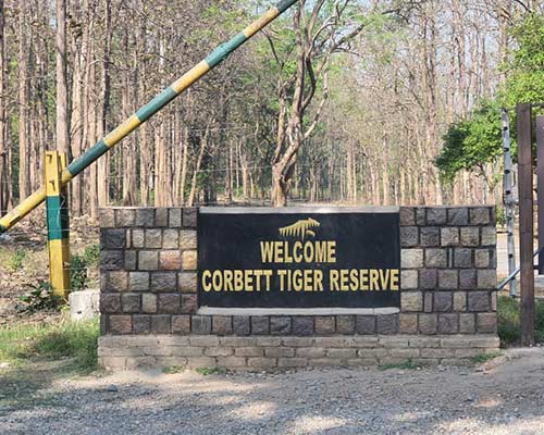 01 Night Corbett Adventure with Jeep Safari