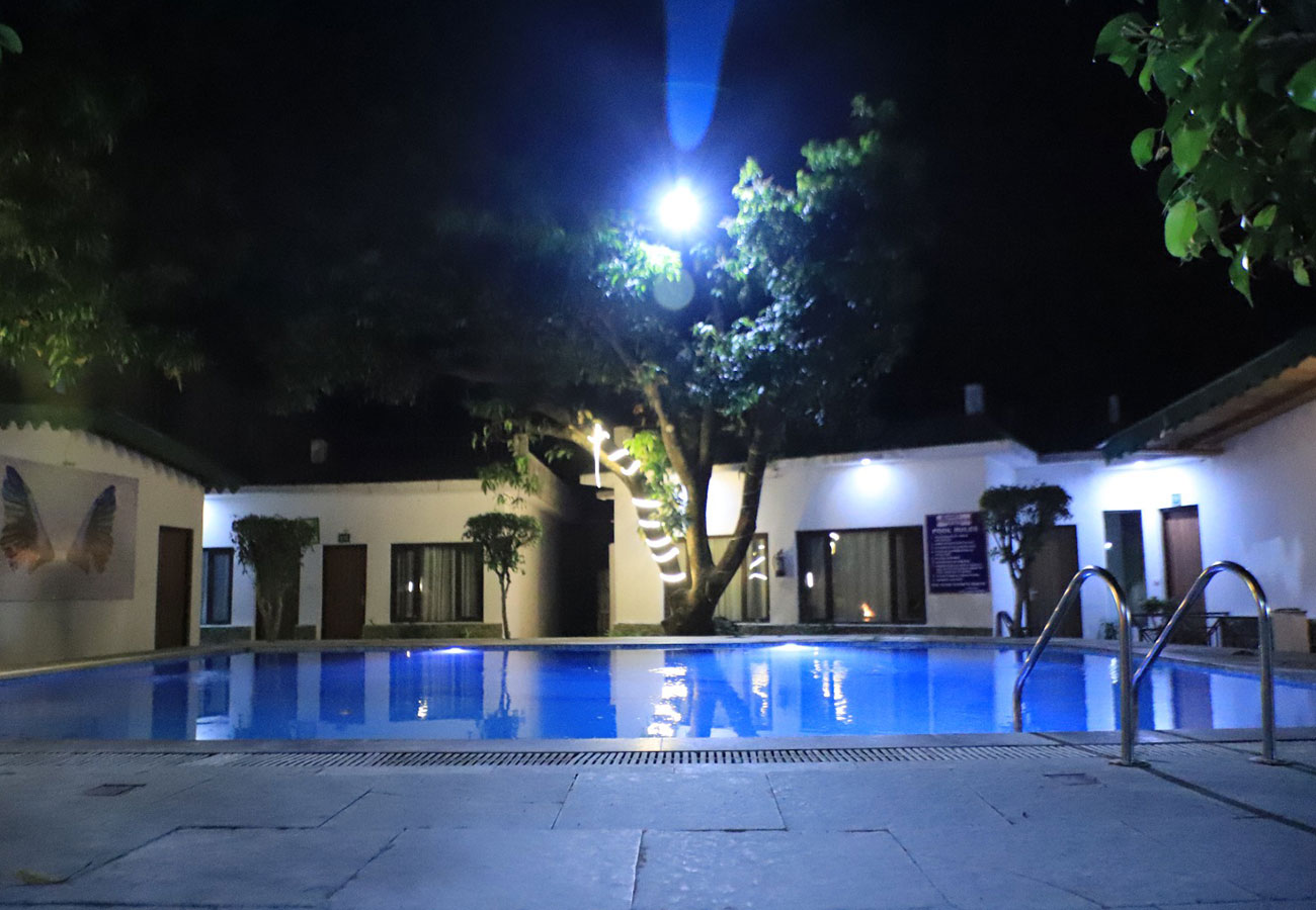 Corbett Paradiso
